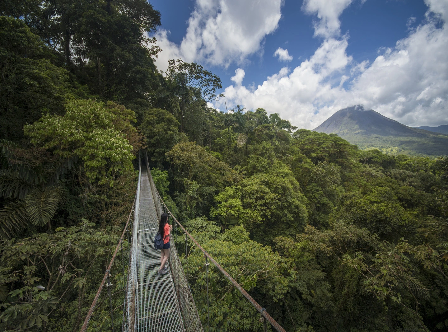 Puentes colgantes Mistico Arenal Hanging Bridges, Costa Rica
